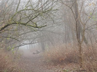 5 lat od zbrodni na Zdrowiu. Łodzianki boją się chodzić do parku