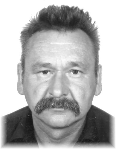 HENRYK WOŁOSZYNEK