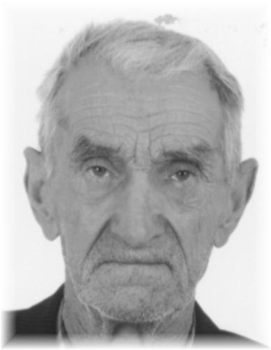 HENRYK ŻOCHOWSKI