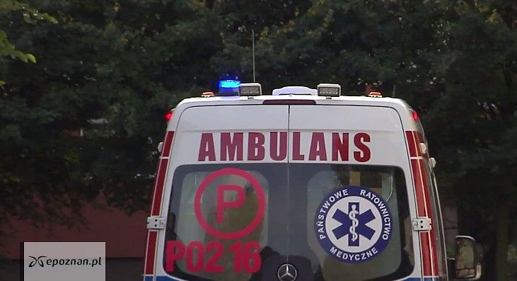 Tragedia pod Poznaniem. Znaleziono zwłoki 14-latki