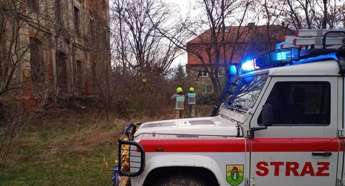 Wielka akcja pod Wrocławiem. Służby szukają zaginionej kobiety