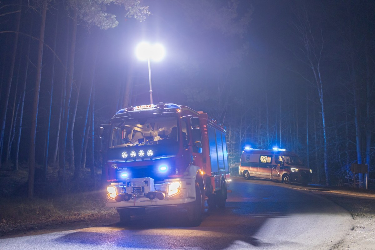 Nocne poszukiwania 81-latki. Była zaplątana w gałęzie